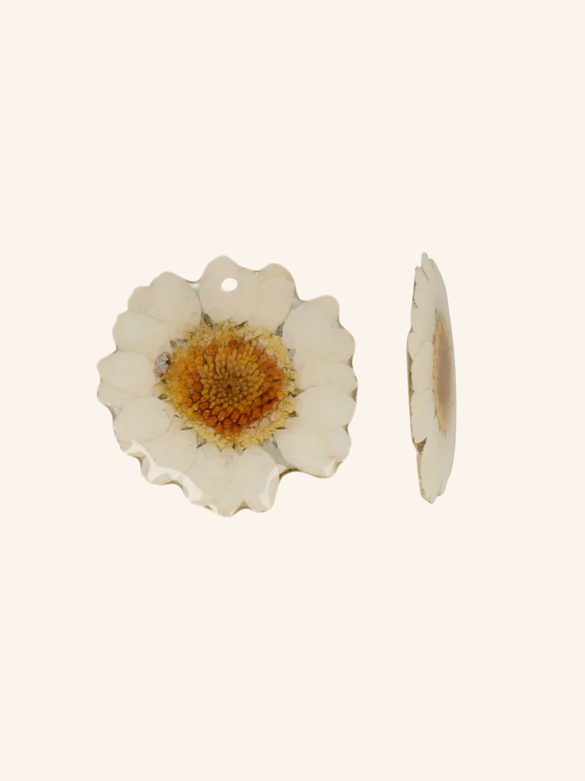 Ciondolo Fiore Naturale - Margherita