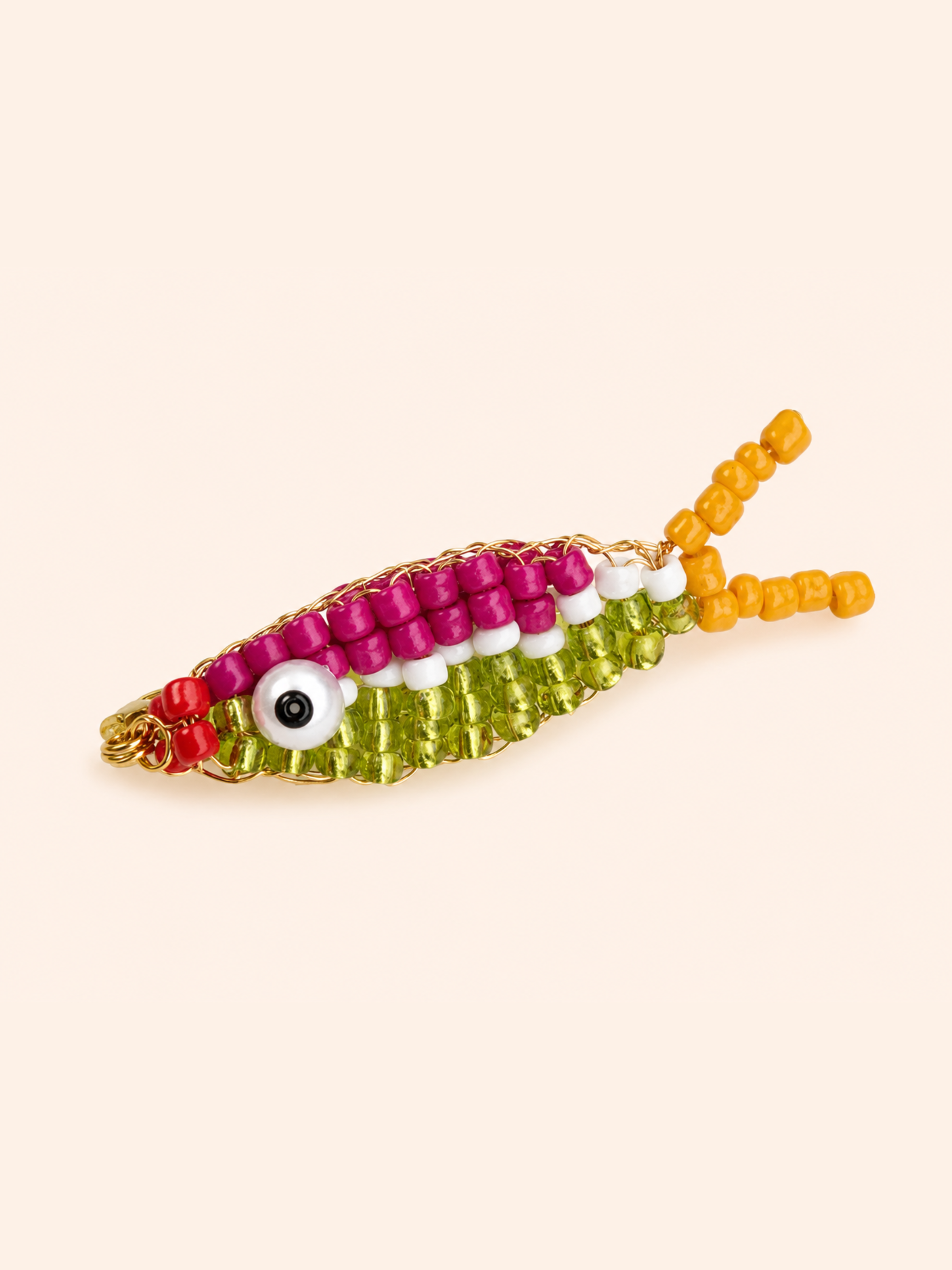 Pesce Arcobaleno