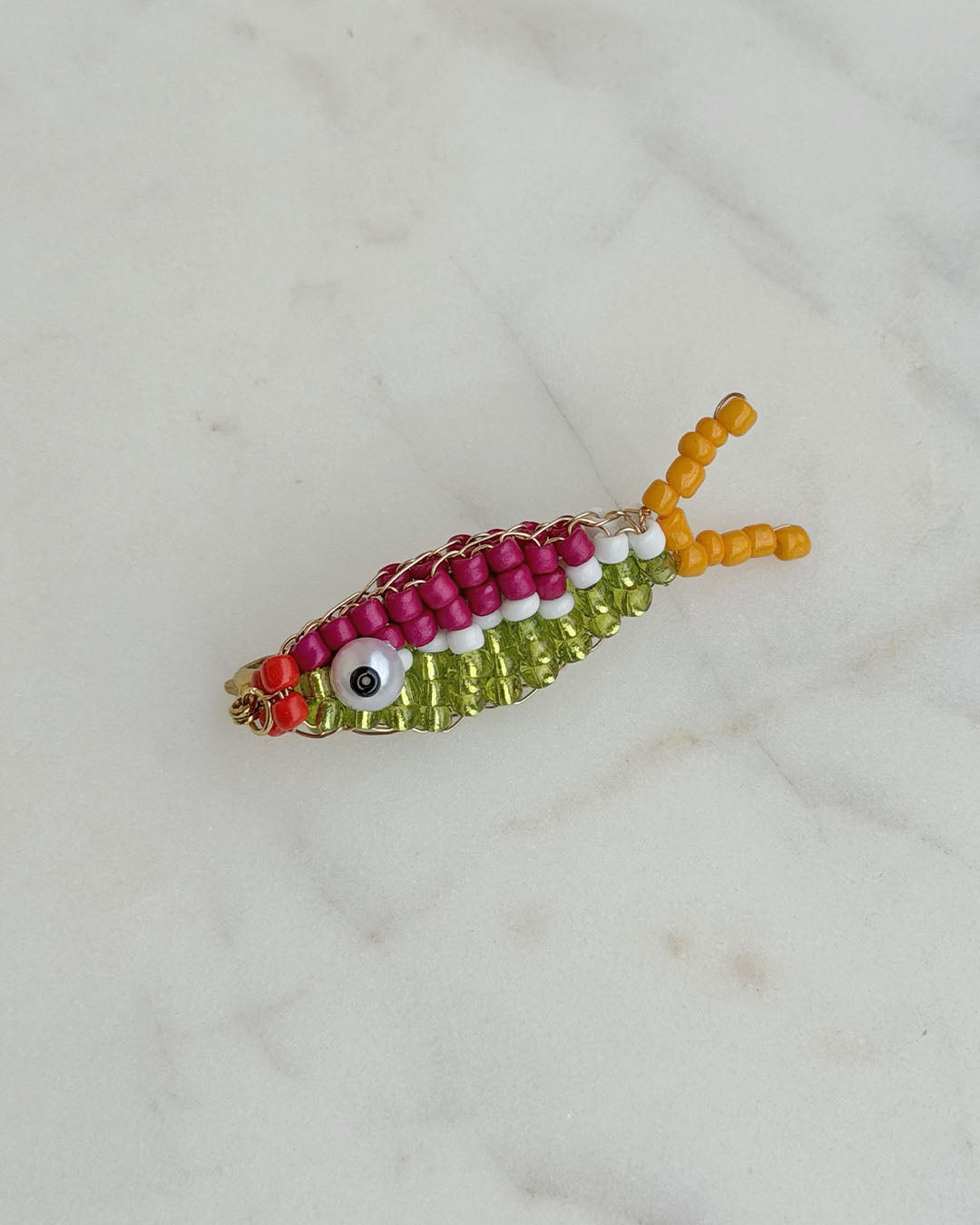 Pesce Arcobaleno